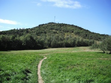Hayes Trail